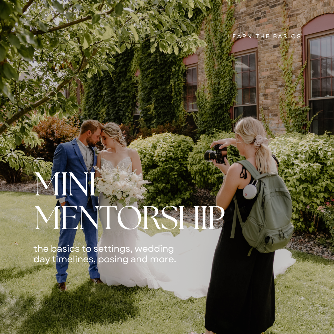 The Mini Mentorship Guide for beginner photographers